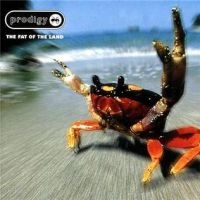 The Prodigy - Fat Of The Land (Reissue) in the group VINYL / Rock at Bengans Skivbutik AB (486860)