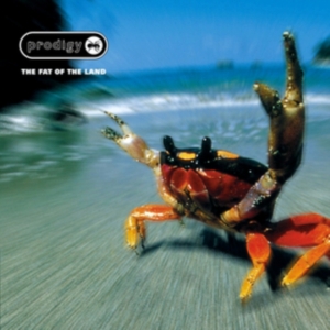 The Prodigy - Fat Of The Land (Reissue) in the group OUR PICKS / Bengans Staff Picks / Erika Tipsar at Bengans Skivbutik AB (486860)