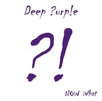 DEEP PURPLE - NOW WHAT?! in the group VINYL / Bestsellers at Bengans Skivbutik AB (487031)