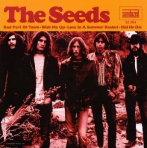 Seeds - Bad Part Of Town (2X7) in the group OUR PICKS / Classic labels / Sundazed / Sundazed Vinyl at Bengans Skivbutik AB (489340)