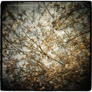 Horse Feathers - Thistled Spring Lp in the group VINYL / Pop-Rock at Bengans Skivbutik AB (491425)