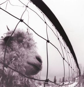 Pearl Jam - Vs. Vinyl Edition (Remastered) in the group VINYL / Pop-Rock at Bengans Skivbutik AB (491716)