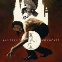 Saltillo - Monocyte: The Lapis Coil in the group VINYL / Pop-Rock at Bengans Skivbutik AB (493128)