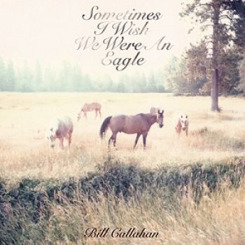 Callahan Bill - Sometimes I Wish We Were An Eagle in the group VINYL / Bestsellers at Bengans Skivbutik AB (493161)