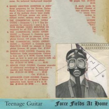 Teenage Guitar - Force Fields At Home in the group VINYL / Rock at Bengans Skivbutik AB (496477)