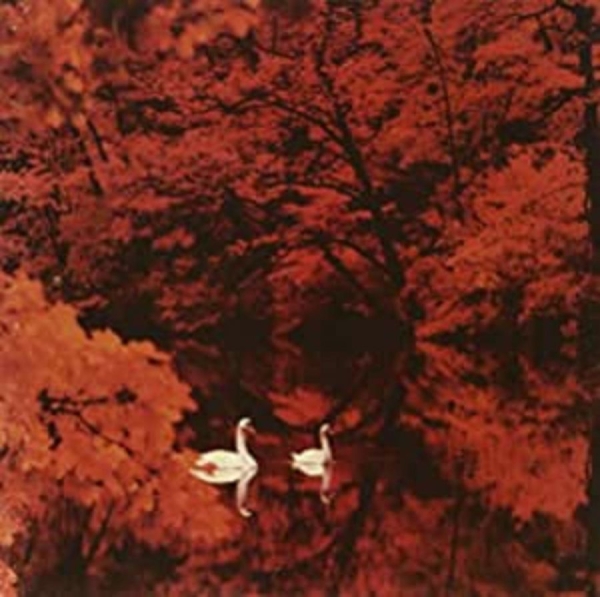 Red Favorite - Red Favorite in the group VINYL / Pop at Bengans Skivbutik AB (496612)