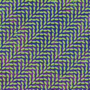 Animal Collective - Merriweather Post Pavillion in the group VINYL / Pop-Rock at Bengans Skivbutik AB (497830)