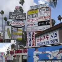 Friedberger Matthew - Cut It Out in the group VINYL / Pop-Rock at Bengans Skivbutik AB (498315)