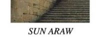 Sun Araw - Ancient Romans in the group VINYL / Pop-Rock at Bengans Skivbutik AB (498747)