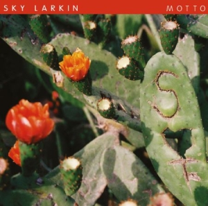 Sky Larkin - Motto in the group VINYL / Rock at Bengans Skivbutik AB (499710)