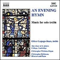 Various - An Evening Hymn in the group Externt_Lager /  at Bengans Skivbutik AB (504871)