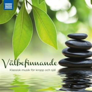 Various - Välbefinnande - Klassisk Musik För in the group OTHER /  / CDON Jazz klassiskt NX at Bengans Skivbutik AB (505578)