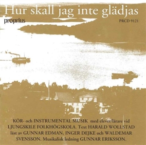 Various - Hur Skall Jag Inte Glädja in the group Externt_Lager /  at Bengans Skivbutik AB (505744)