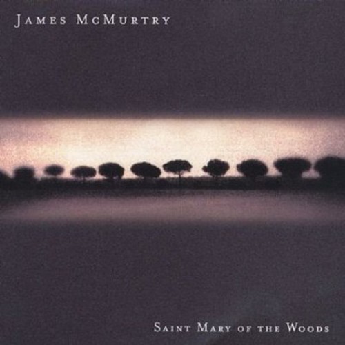 Mcmurtry James - Saint Mary Of The Woods in the group CD / Rock at Bengans Skivbutik AB (506751)