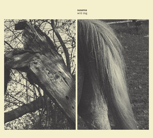 Susanna - Wild Dog in the group CD / Pop at Bengans Skivbutik AB (507305)
