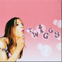 Twiggs - Twiggs in the group CD / Pop-Rock,Svensk Folkmusik at Bengans Skivbutik AB (513175)