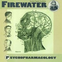 Firewater - Psychopharmacology in the group CD / Rock at Bengans Skivbutik AB (518074)