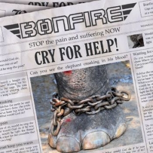 Bonfire - Cry For Help in the group Minishops / Bonfire at Bengans Skivbutik AB (518383)