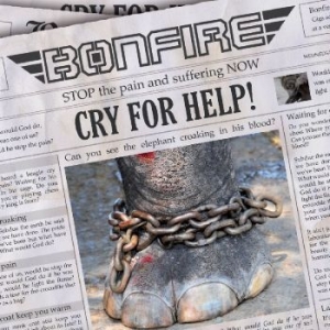 Bonfire - Cry For Help in the group CD / Hårdrock/ Heavy metal at Bengans Skivbutik AB (518383)