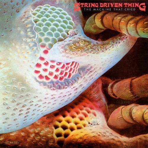 String Driven Thing - Machine That Cried in the group OTHER / Övrigt /  at Bengans Skivbutik AB (526266)