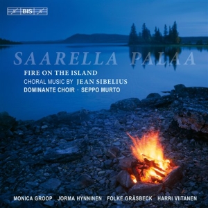 Sibelius - Fire On The Island in the group Externt_Lager /  at Bengans Skivbutik AB (526648)