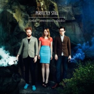 Riedel/Svensson/Skokic - Perfectly Still in the group CD / Jazz at Bengans Skivbutik AB (527213)