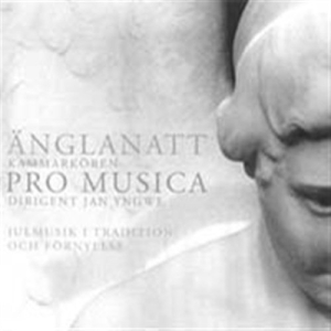 Various - Änglanatt (Angel Night) in the group Externt_Lager /  at Bengans Skivbutik AB (529362)