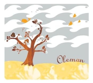 Oleman - Oleman in the group CD / Elektroniskt at Bengans Skivbutik AB (529745)