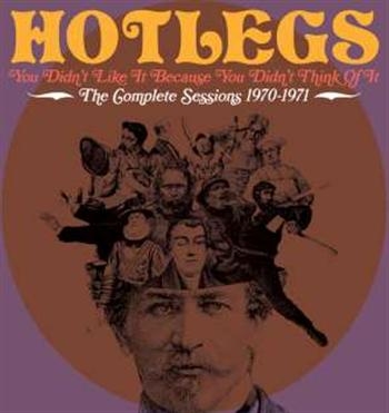 Hotlegs - You Didn't Like It Because You Didn in the group CD / Pop at Bengans Skivbutik AB (531254)