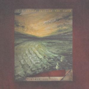 Von Till Steve - If I Should Fall To The Field in the group OTHER / Övrigt /  at Bengans Skivbutik AB (533631)