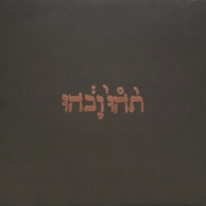 Godspeed You Black Emperor - Slow Riot For New Zero Kanada in the group Labels /  at Bengans Skivbutik AB (533809)