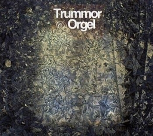 Trummor & Orgel - Visions in the group CD / Pop-Rock at Bengans Skivbutik AB (539183)