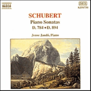 Schubert Franz - Piano Sonatas D 784 & 894 in the group Externt_Lager /  at Bengans Skivbutik AB (540798)