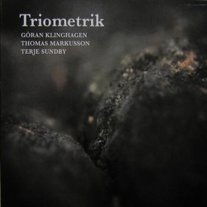 Triometrik - Triometrik in the group CD / Jazz at Bengans Skivbutik AB (542248)