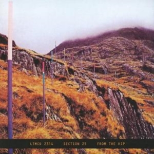 SECTION 25 - FROM THE HIP in the group CD / Pop-Rock at Bengans Skivbutik AB (543381)