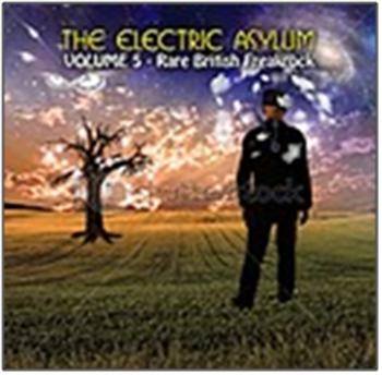 Various Artists - The Electric Asylum Vol 5 in the group CD / Rock at Bengans Skivbutik AB (545422)