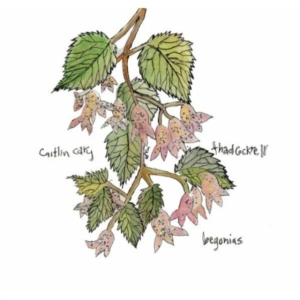 Cary Caitlin And Thad Cockrell - Begonias in the group OUR PICKS / Classic labels / YepRoc / CD at Bengans Skivbutik AB (550011)