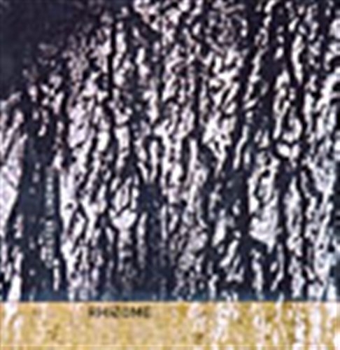 Lindwall Christer - Rhizome in the group OTHER / -Start JazzKlass Summer at Bengans Skivbutik AB (550184)