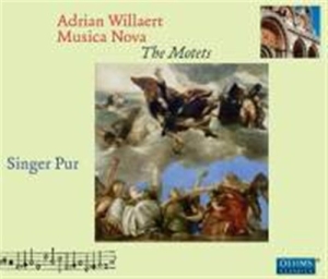 Singer Pur - The Motets in the group CD / Klassiskt at Bengans Skivbutik AB (5503655)