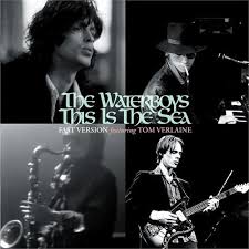 Waterboys - This Is The Sea -Black Fr- in the group OTHER / CRM - Irish Pop-Rock at Bengans Skivbutik AB (5506376)