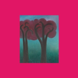 Ethier André - Croak In The Weeds in the group OTHER / Övrigt /  at Bengans Skivbutik AB (5506598)