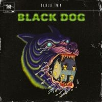 Gazelle Twin - Black Dog in the group VINYL / Pop-Rock at Bengans Skivbutik AB (5506772)