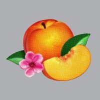 Phoenix - Bankrupt! in the group CD / Pop-Rock at Bengans Skivbutik AB (5507595)