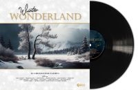 Various Artists - Winter Wonderland (Vinyl Lp) in the group VINYL / Julmusik at Bengans Skivbutik AB (5507656)