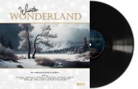 Various Artists - Winter Wonderland (Vinyl Lp) in the group OUR PICKS / Christmas music on Vinyl & CD at Bengans Skivbutik AB (5507656)
