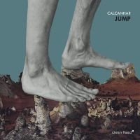 Calcanhar - Jump in the group CD / Jazz at Bengans Skivbutik AB (5509393)