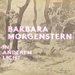 Barbara Morgenstern - In Anderem Licht in the group OUR PICKS / Frontpage - Vinyl New & Forthcoming at Bengans Skivbutik AB (5509665)
