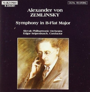 Zemlinsky Alexander Von - Symphony in the group CD / Klassiskt at Bengans Skivbutik AB (5510081)