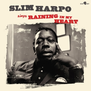 Harpo Slim - Sings Raining In My Heart in the group OUR PICKS / Friday Releases / Friday the 26th Jan 24 at Bengans Skivbutik AB (5510425)