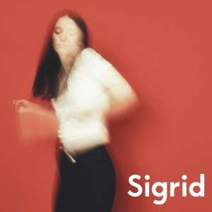 Sigrid - The Hype in the group OTHER / -Start Max at Bengans Skivbutik AB (5510686)